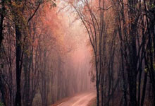 开云APP-法国羽毛球队爆冷击败印尼劲旅，李宗伟再展高光时刻