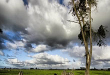 开云体育官方网站-美国网球队横扫西班牙网球队，克耶高斯关键制胜